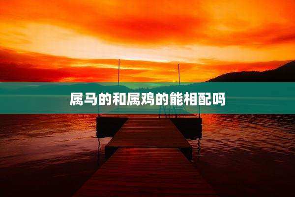 属马的和属鸡的能相配吗