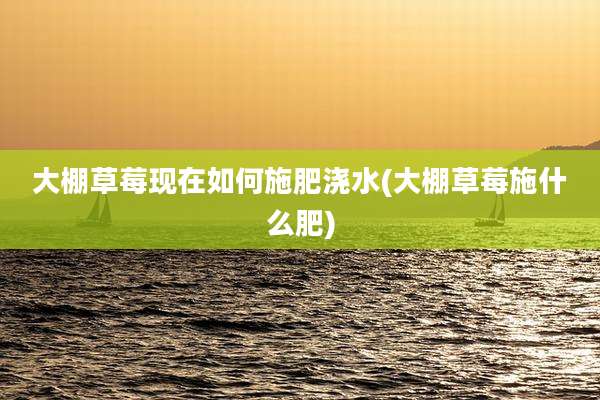 大棚草莓现在如何施肥浇水(大棚草莓施什么肥)