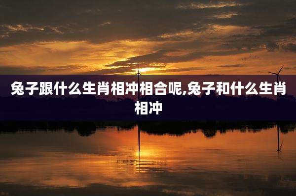 兔子跟什么生肖相冲相合呢,兔子和什么生肖相冲