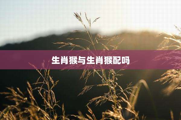 生肖猴与生肖猴配吗