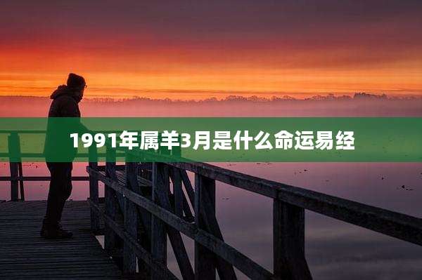 1991年属羊3月是什么命运易经