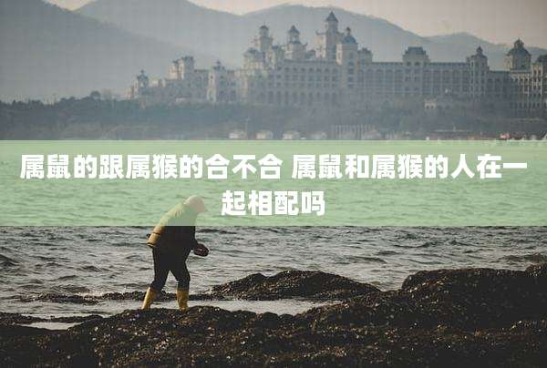 属鼠的跟属猴的合不合 属鼠和属猴的人在一起相配吗