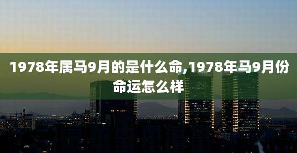1978年属马9月的是什么命,1978年马9月份命运怎么样