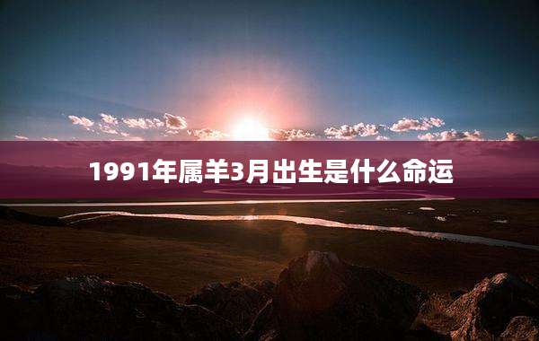 1991年属羊3月出生是什么命运