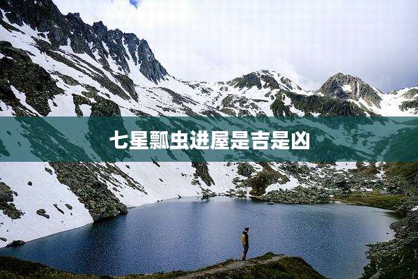 七星瓢虫进屋是吉是凶