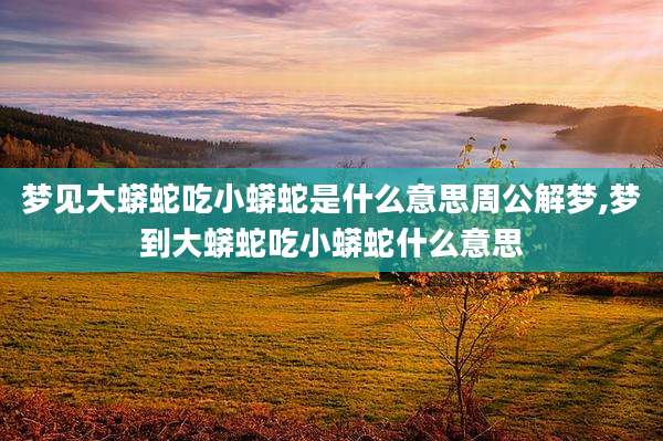 梦见大蟒蛇吃小蟒蛇是什么意思周公解梦,梦到大蟒蛇吃小蟒蛇什么意思