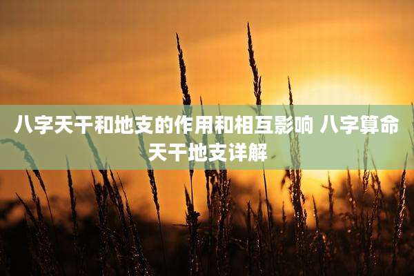八字天干和地支的作用和相互影响 八字算命天干地支详解