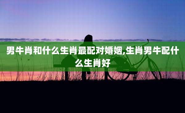 男牛肖和什么生肖最配对婚姻,生肖男牛配什么生肖好