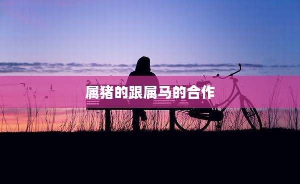 属猪的跟属马的合作
