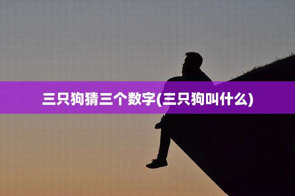 三只狗猜三个数字(三只狗叫什么)