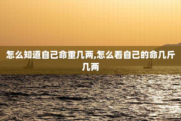 怎么知道自己命重几两,怎么看自己的命几斤几两