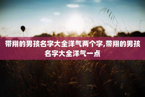带翔的男孩名字大全洋气两个字,带翔的男孩名字大全洋气一点