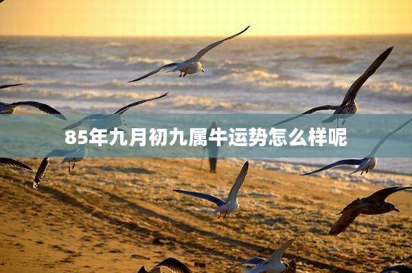 85年九月初九属牛运势怎么样呢