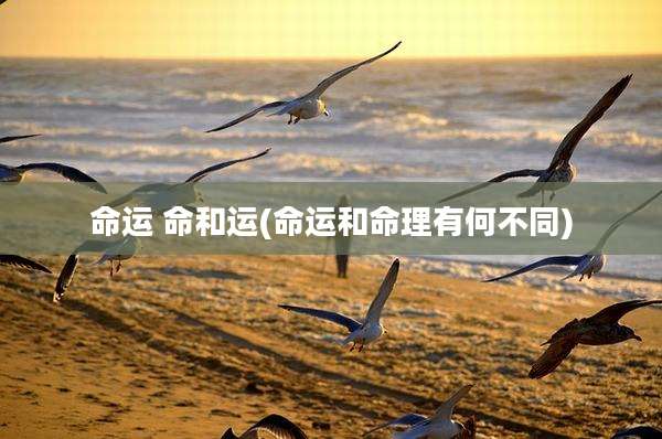 命运 命和运(命运和命理有何不同)