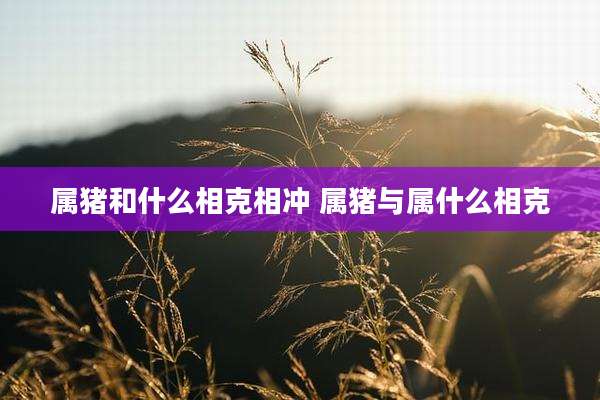 属猪和什么相克相冲 属猪与属什么相克