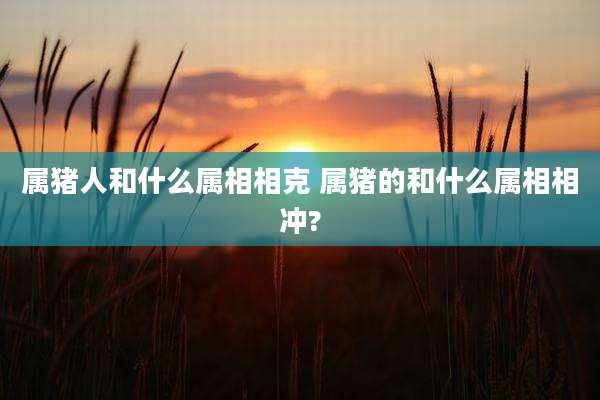 属猪人和什么属相相克 属猪的和什么属相相冲?