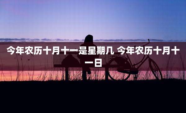 今年农历十月十一是星期几 今年农历十月十一日