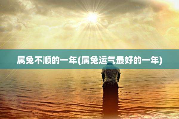 属兔不顺的一年(属兔运气最好的一年)