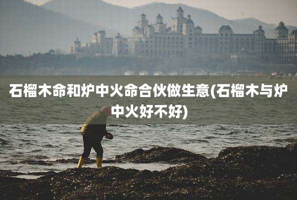 石榴木命和炉中火命合伙做生意(石榴木与炉中火好不好)