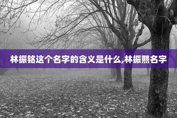 林振铭这个名字的含义是什么,林振熙名字
