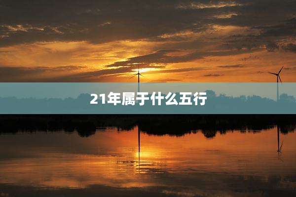 21年属于什么五行