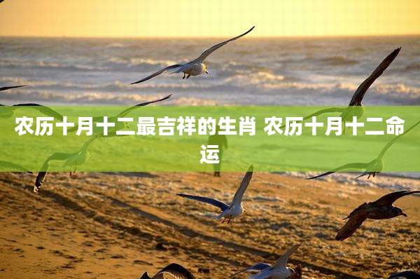 农历十月十二最吉祥的生肖 农历十月十二命运