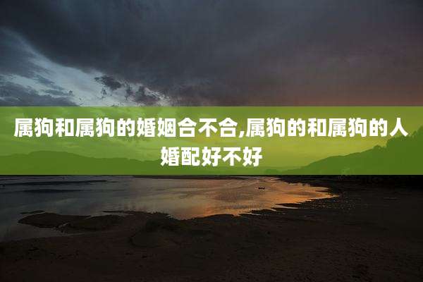 属狗和属狗的婚姻合不合,属狗的和属狗的人婚配好不好