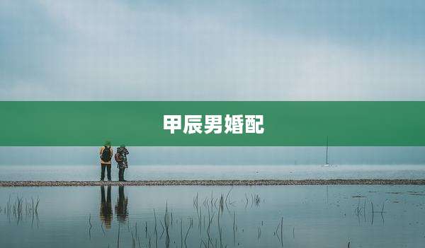 甲辰男婚配