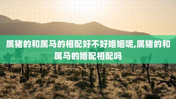 属猪的和属马的相配好不好婚姻呢,属猪的和属马的婚配相配吗