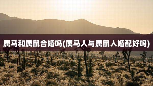 属马和属鼠合婚吗(属马人与属鼠人婚配好吗)