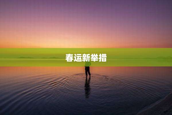 春运新举措
