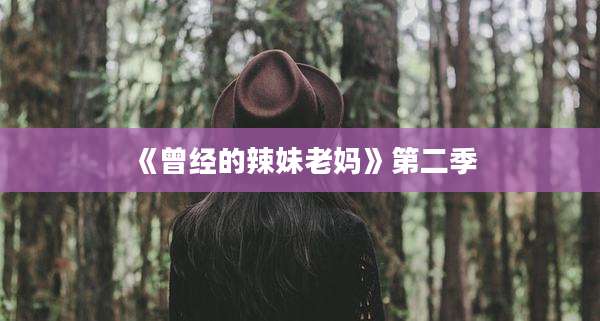 《曾经的辣妹老妈》第二季