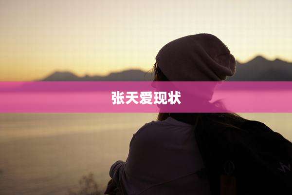 张天爱现状