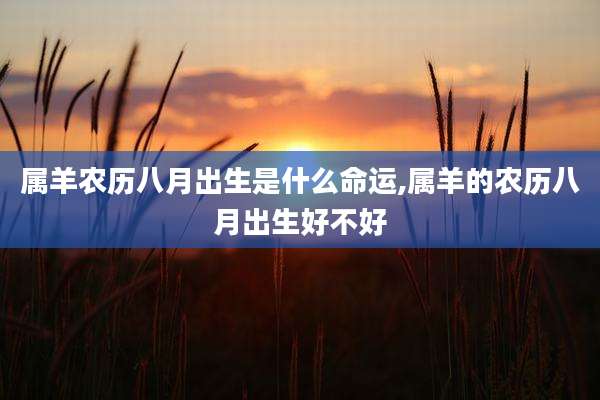 属羊农历八月出生是什么命运,属羊的农历八月出生好不好
