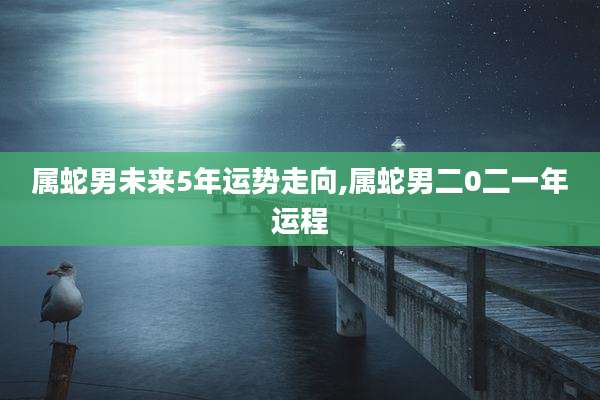 属蛇男未来5年运势走向,属蛇男二0二一年运程