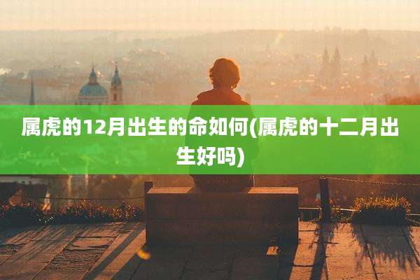 属虎的12月出生的命如何(属虎的十二月出生好吗)