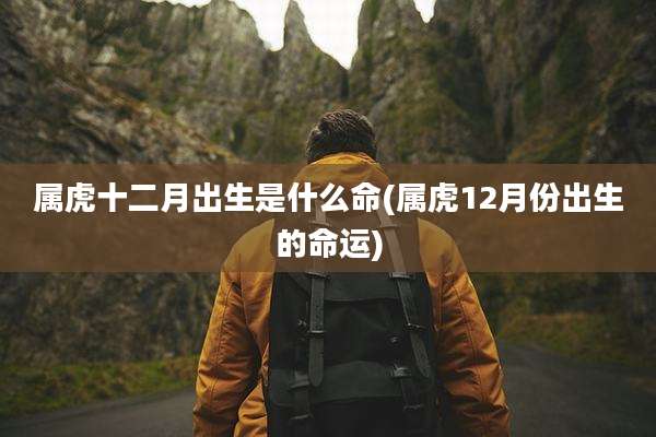 属虎十二月出生是什么命(属虎12月份出生的命运)