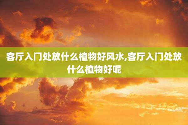 客厅入门处放什么植物好风水,客厅入门处放什么植物好呢