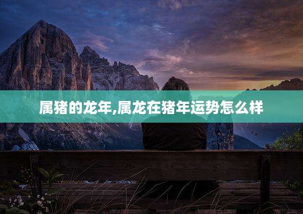 属猪的龙年,属龙在猪年运势怎么样