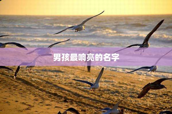 男孩最响亮的名字