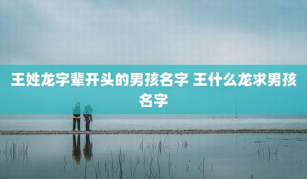 王姓龙字辈开头的男孩名字 王什么龙求男孩名字
