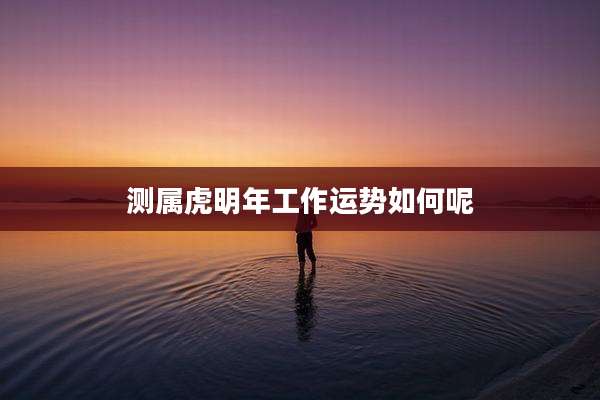 测属虎明年工作运势如何呢