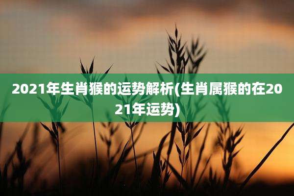 2021年生肖猴的运势解析(生肖属猴的在2021年运势)