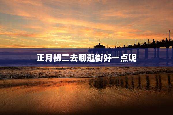 正月初二去哪逛街好一点呢