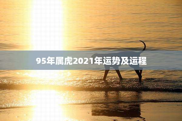 95年属虎2021年运势及运程