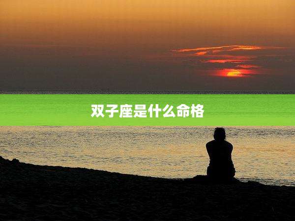 双子座是什么命格