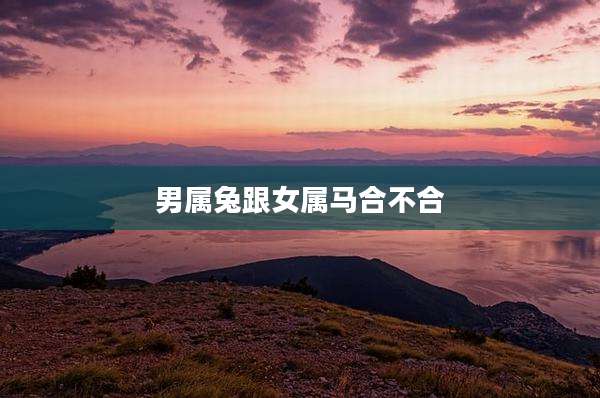 男属兔跟女属马合不合
