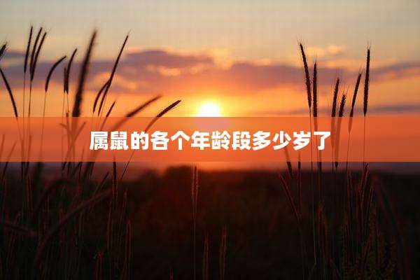 属鼠的各个年龄段多少岁了