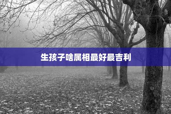 生孩子啥属相最好最吉利