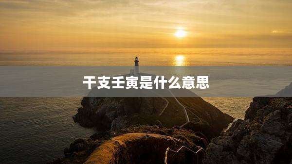 干支壬寅是什么意思